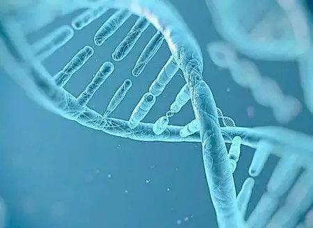 hiv患者在泰国做试管婴儿的费用和流程介绍