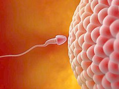 男性精子活力低会影响泰国试管成功率吗?