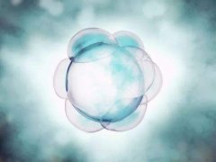 试管婴儿过程中出现了空卵泡的原因以及对策