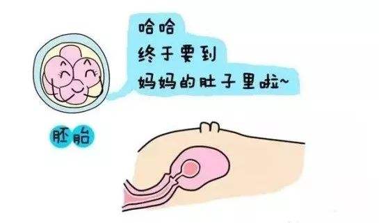 论试管婴儿移植术后护理重要性