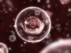 威它尼医院成功率？泰国试管医院成功率高的关键因素有哪些？